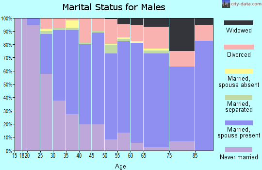 Zip code 95973 marital status for males