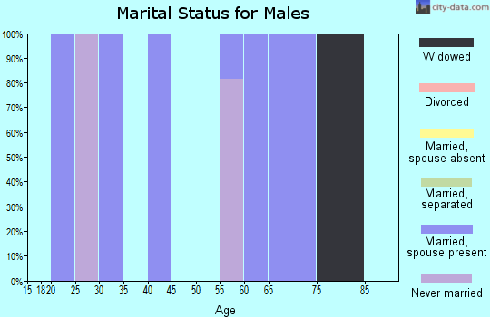 Zip code 95983 marital status for males