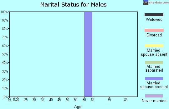 Zip code 95984 marital status for males