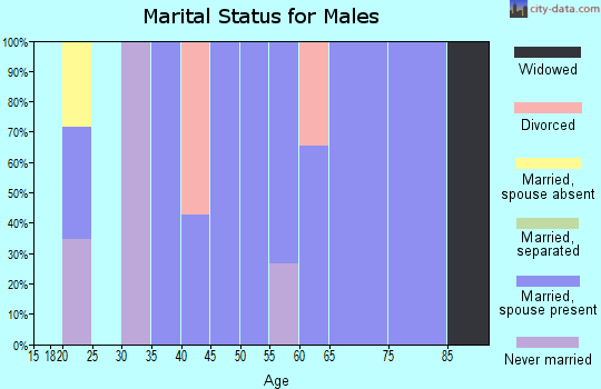 Zip code 96009 marital status for males