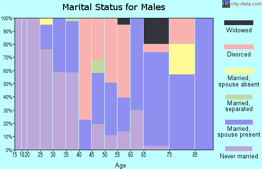 Zip code 96013 marital status for males