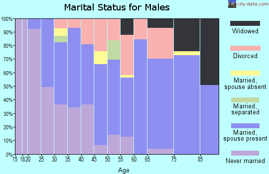 Zip code 96019 marital status for males