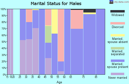Zip code 96020 marital status for males