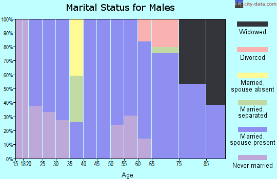 Zip code 96023 marital status for males