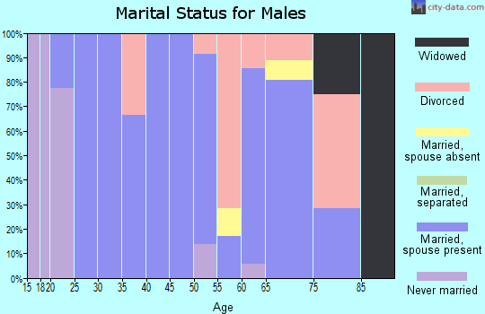 Zip code 96028 marital status for males
