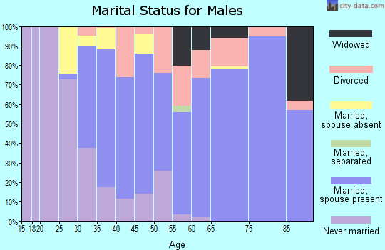 Zip code 96032 marital status for males