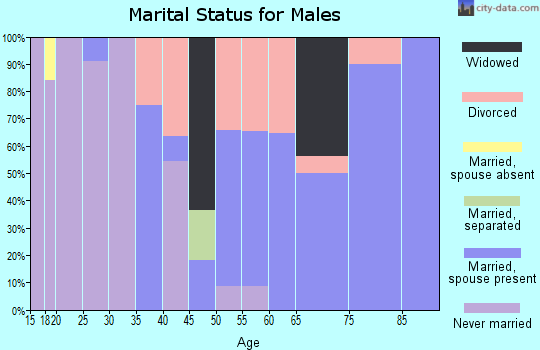 Zip code 96033 marital status for males
