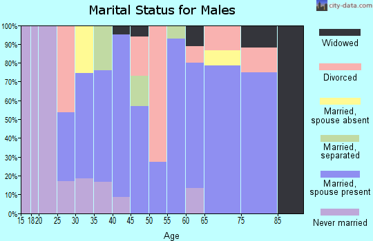Zip code 96035 marital status for males