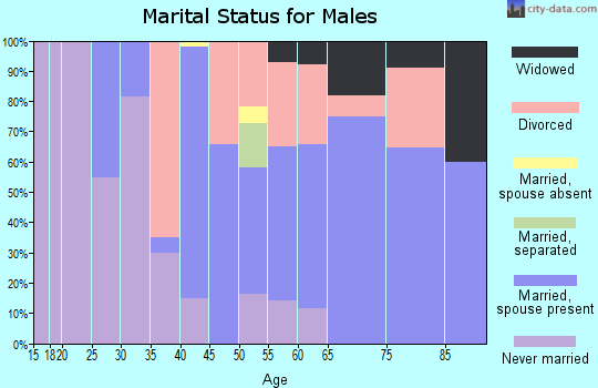 Zip code 96039 marital status for males