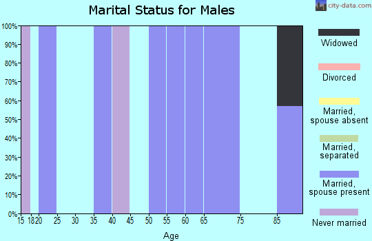 Zip code 96040 marital status for males