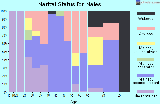 Zip code 96041 marital status for males
