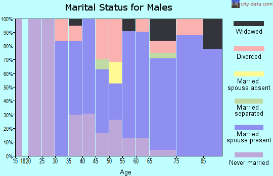 Zip code 96044 marital status for males