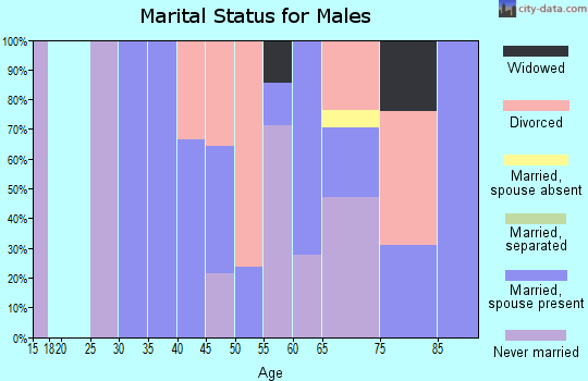 Zip code 96050 marital status for males
