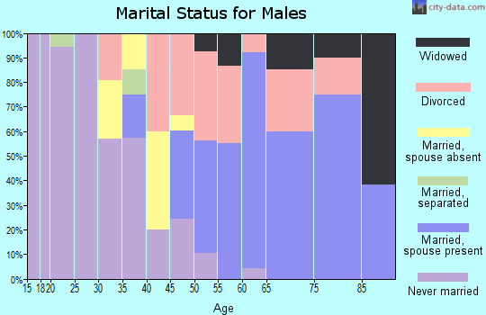 Zip code 96052 marital status for males