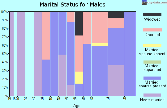 Zip code 96059 marital status for males