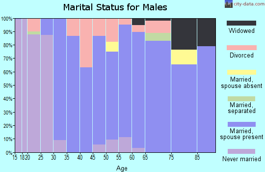 Zip code 96073 marital status for males