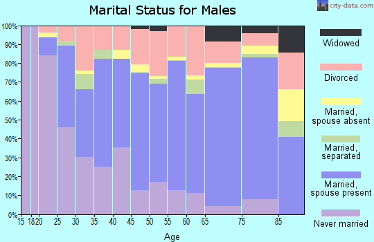 Zip code 96080 marital status for males