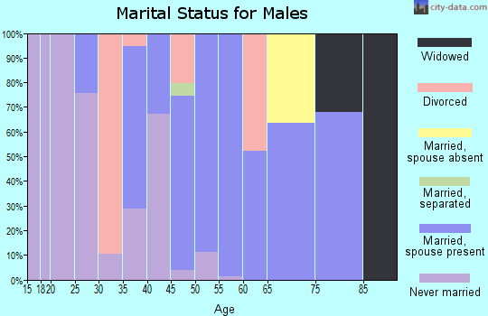Zip code 96093 marital status for males