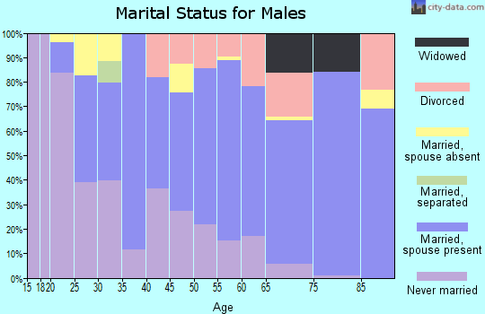 Zip code 96101 marital status for males
