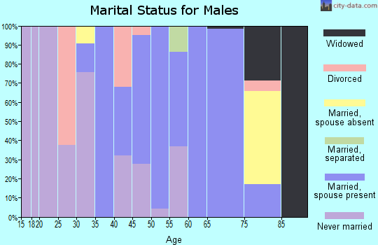Zip code 96118 marital status for males