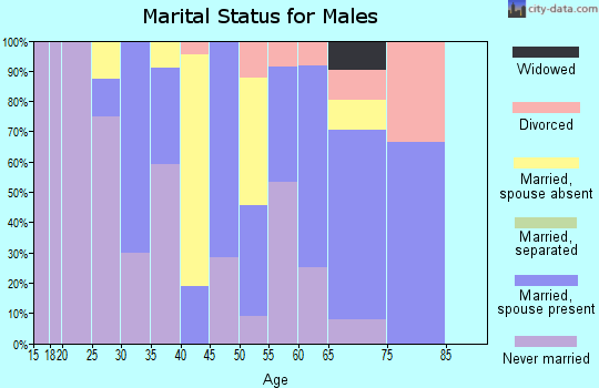 Zip code 96120 marital status for males