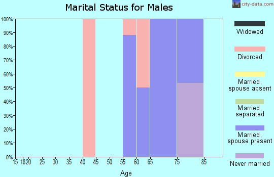 Zip code 96121 marital status for males