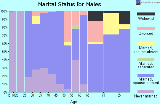 Zip code 96122 marital status for males