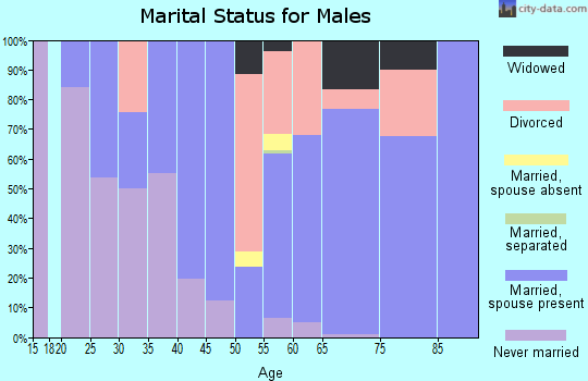 Zip code 96137 marital status for males