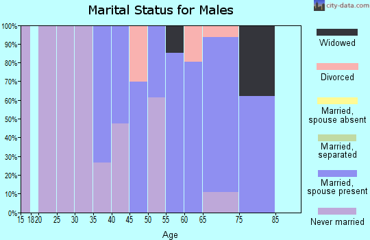 Zip code 96140 marital status for males
