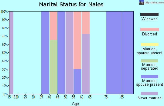 Zip code 96142 marital status for males