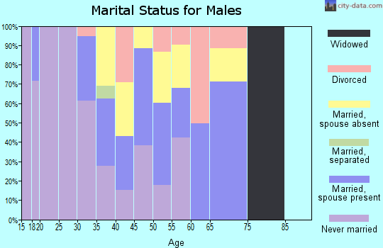 Zip code 96143 marital status for males