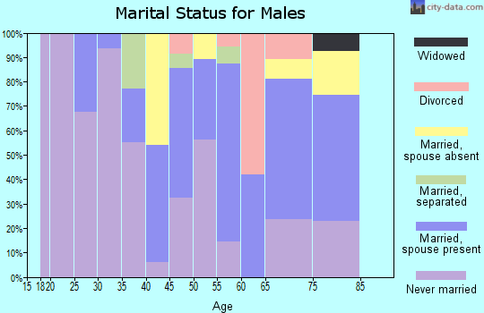 Zip code 96145 marital status for males