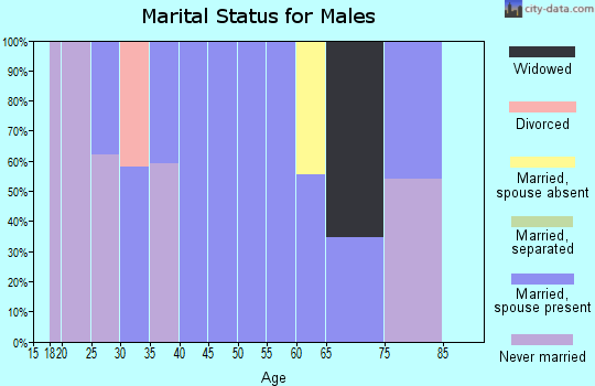 Zip code 96148 marital status for males