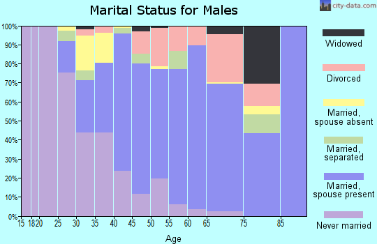 Zip code 96161 marital status for males
