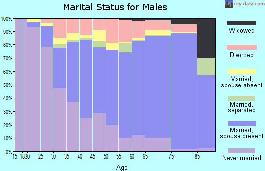 Zip code 96701 marital status for males