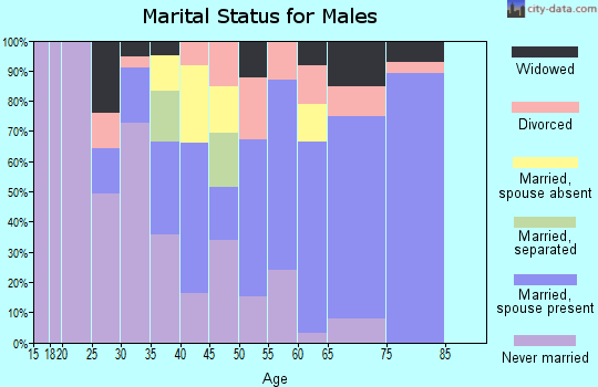 Zip code 96703 marital status for males