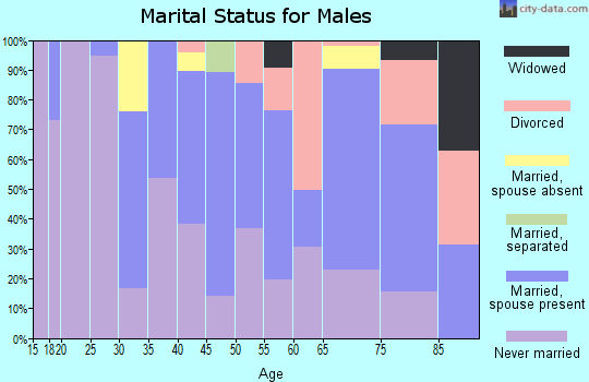 Zip code 96704 marital status for males