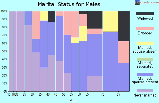Zip code 96705 marital status for males