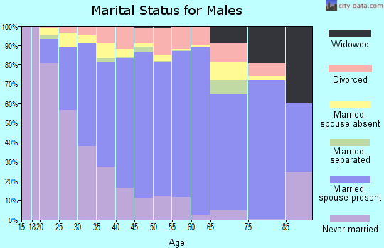 Zip code 96707 marital status for males