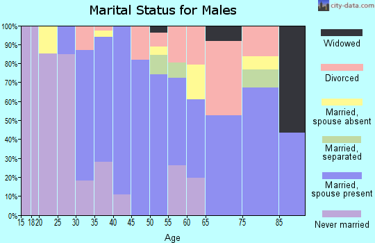 Zip code 96708 marital status for males