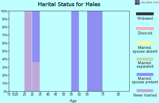 Zip code 96710 marital status for males