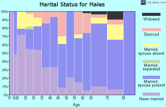 Zip code 96712 marital status for males