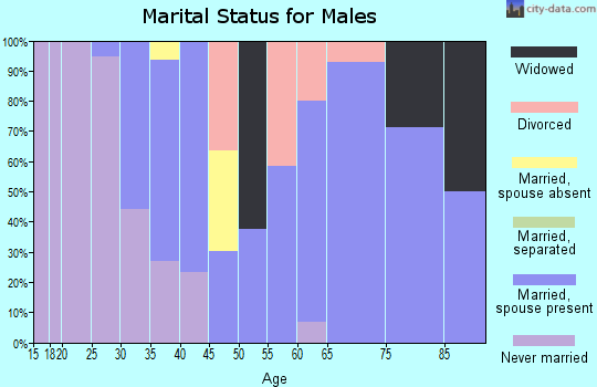 Zip code 96713 marital status for males