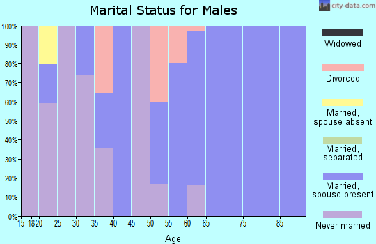 Zip code 96714 marital status for males