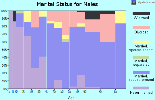 Zip code 96717 marital status for males