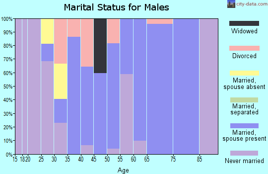 Zip code 96719 marital status for males