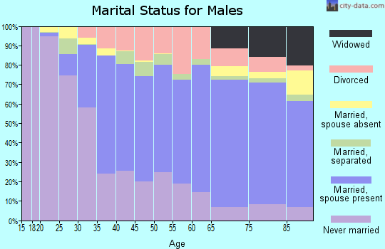 Zip code 96720 marital status for males