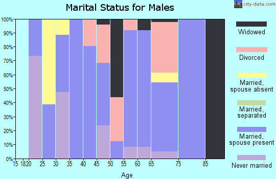 Zip code 96722 marital status for males