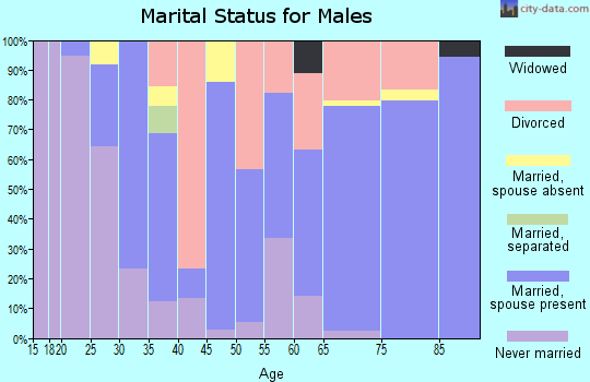 Zip code 96725 marital status for males