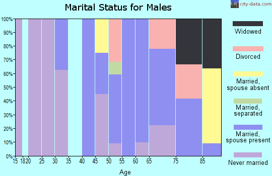 Zip code 96728 marital status for males